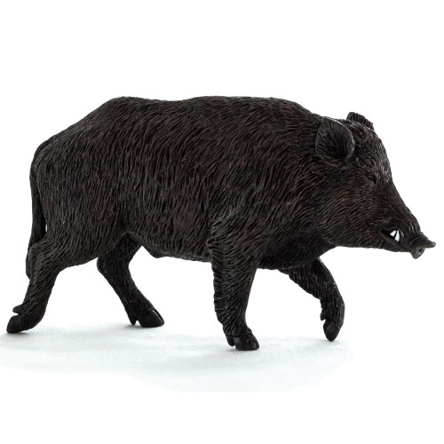 Mojo Wild Boar
