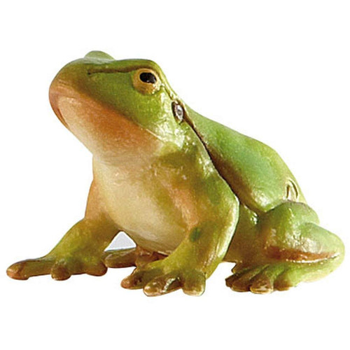 Tree Frog