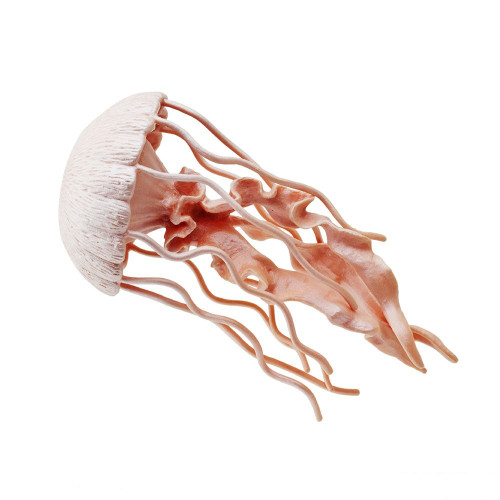 Safari Ltd Jellyfish IC