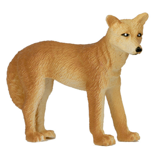 Small Dingo