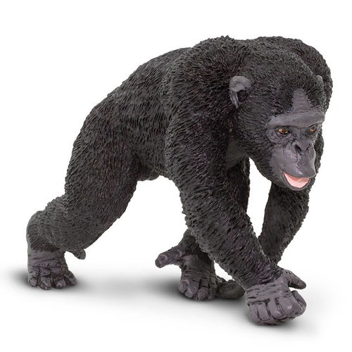 Safari Ltd Chimpanzee
