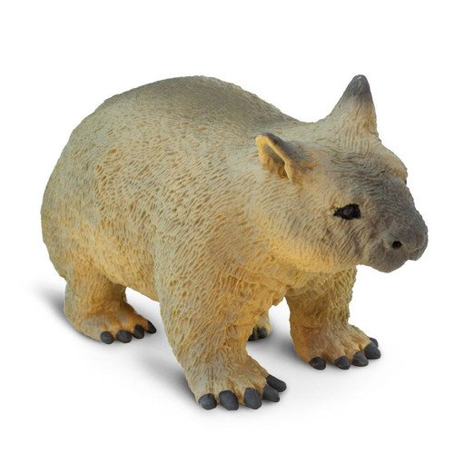 Safari Ltd Wombat