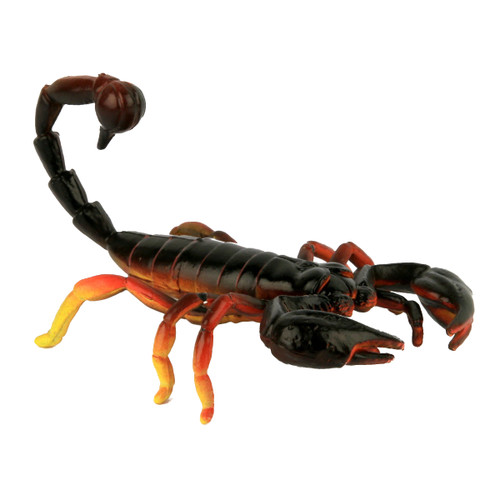 Small Scorpion