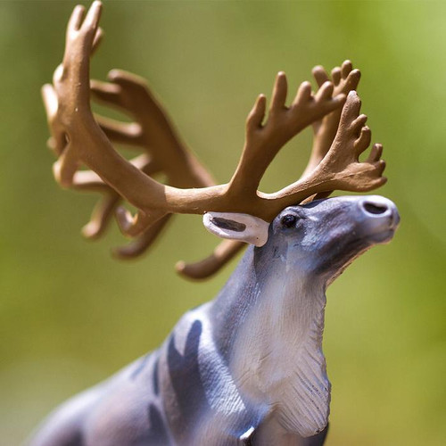 Safari Ltd Caribou