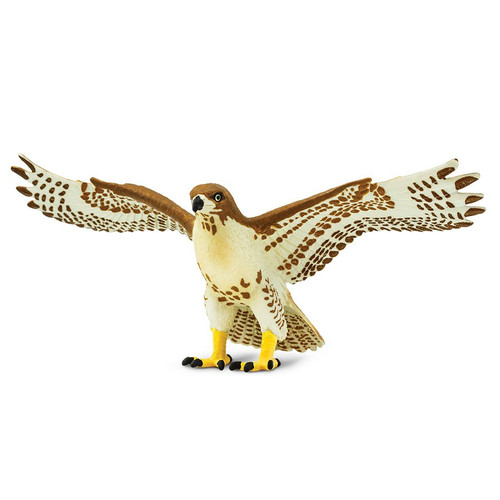 Safari Ltd Red Tailed Hawk