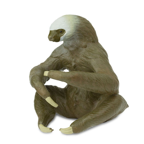 Safari Ltd Two Toed Sloth