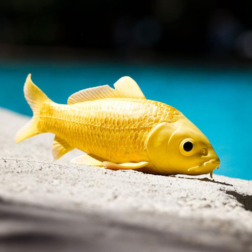 Safari Ltd Koi Fish IC