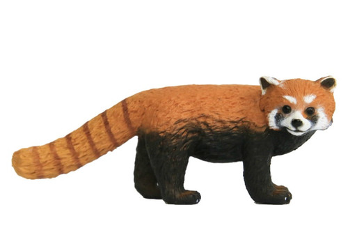 Red Panda SN