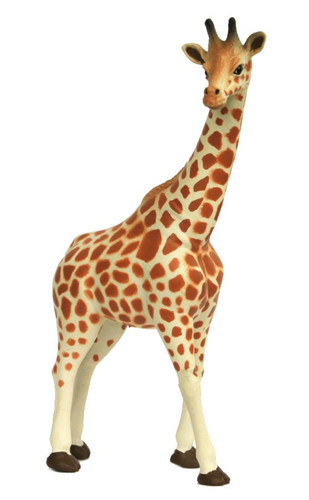 Giraffe SN