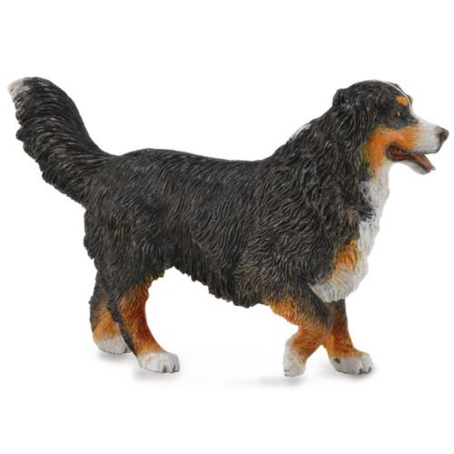 CollectA Bernese Mountain Dog