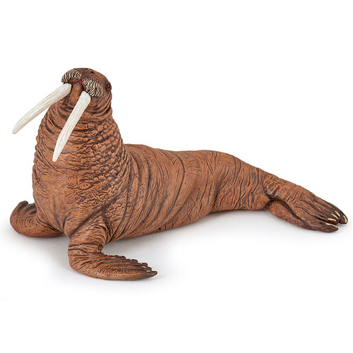 Papo Walrus