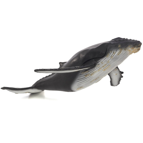 Mojo Humpback Whale Deluxe
