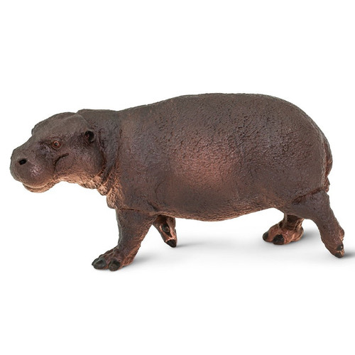 Safari Ltd Pygmy Hippo