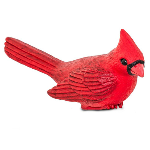 Safari Ltd Cardinal IC