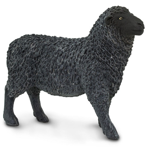 Safari Ltd Black Sheep