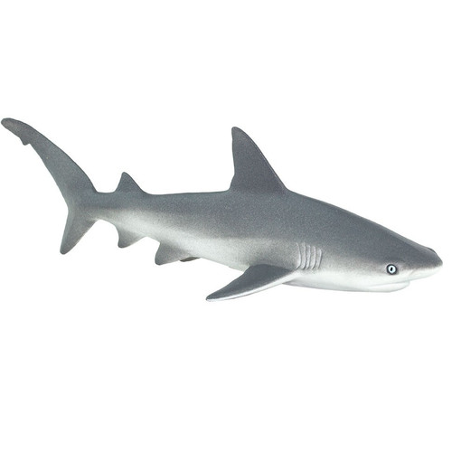 Safari Ltd Grey Reef Shark