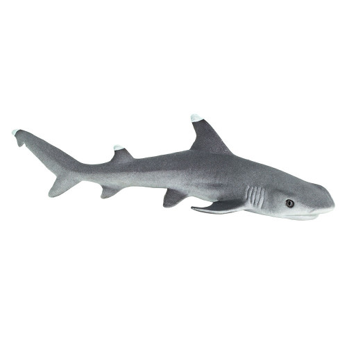 Safari Ltd Whitetip Reef Shark