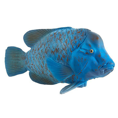 Mojo Blue Grouper (Groper)