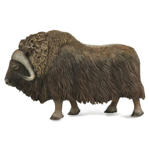 CollectA Musk Ox