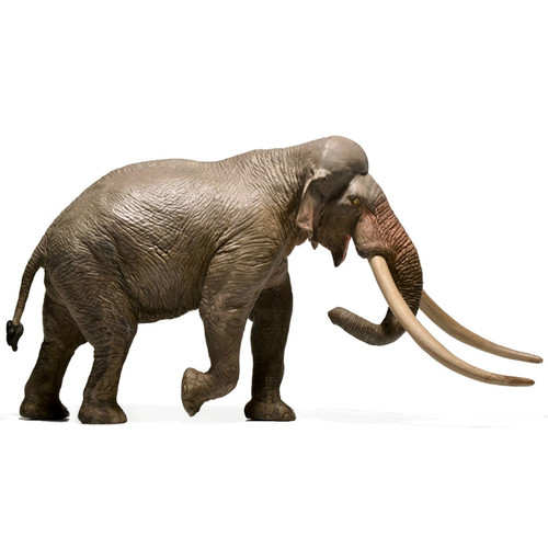 Straight-Tusked Elephant