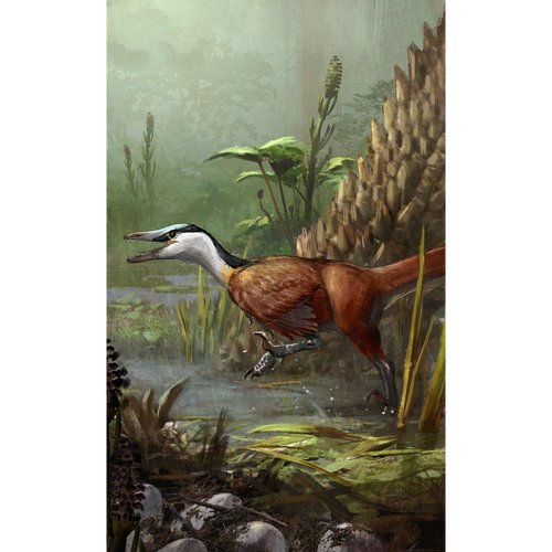 Wetlands Accessory Pack with Buitreraptor g.