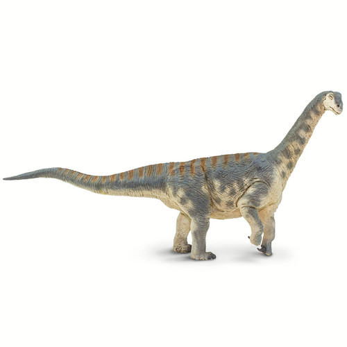 Safari Ltd Camarasaurus