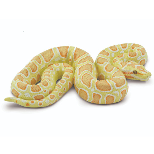Safari Ltd Albino Burmese Python IC