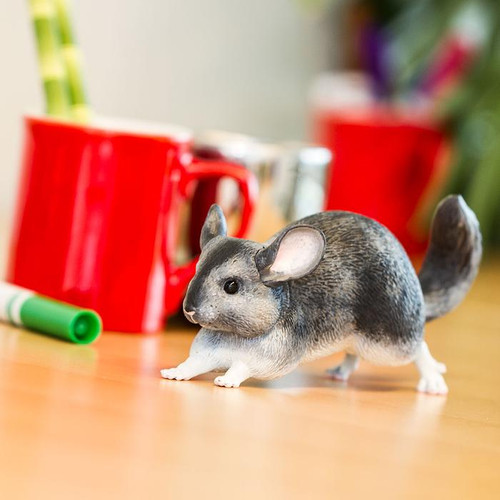 Chinchilla IC
