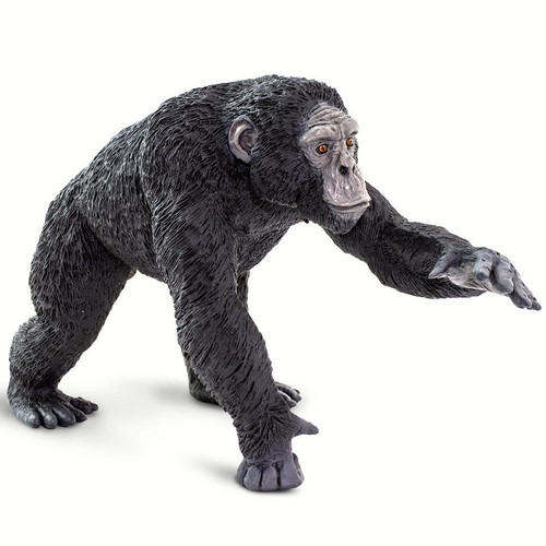 Safari Ltd Chimpanzee Jumbo