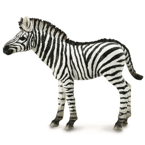 CollectA Zebra Foal
