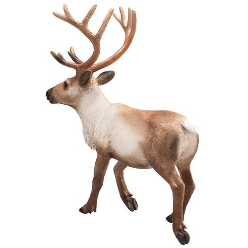 Mojo Reindeer