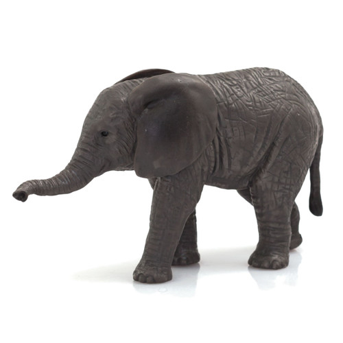 Mojo African Elephant Calf
