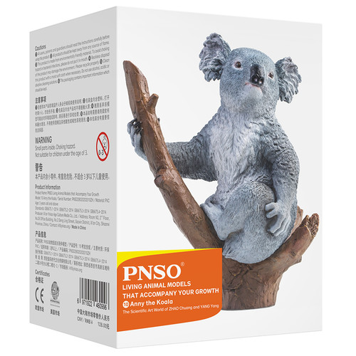 PNSO Anny the Koala model box back view