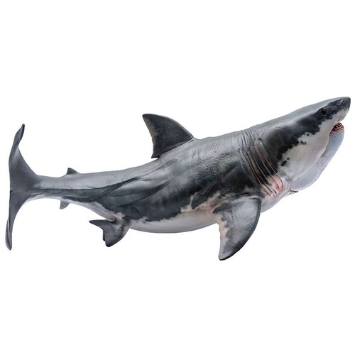 megalodon pnso