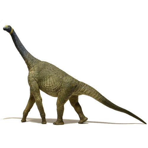 EoFauna Atlasaurus side view
