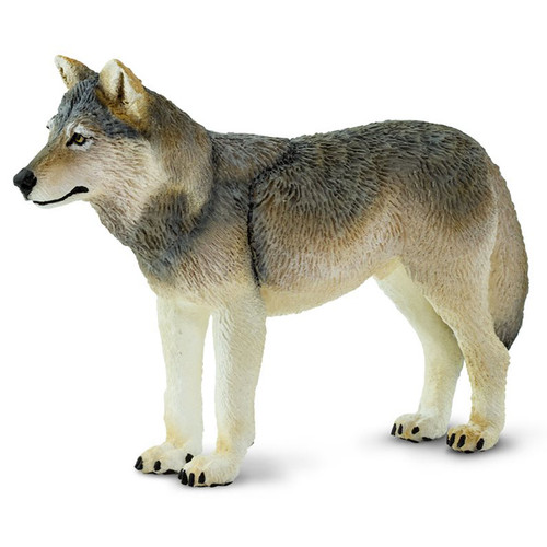 Safari Ltd Grey Wolf