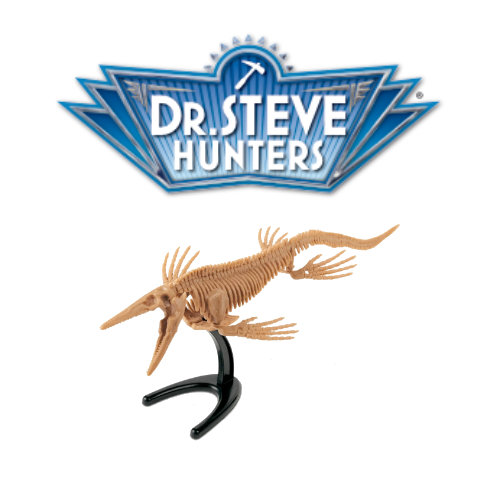 Dr Steve Hunters