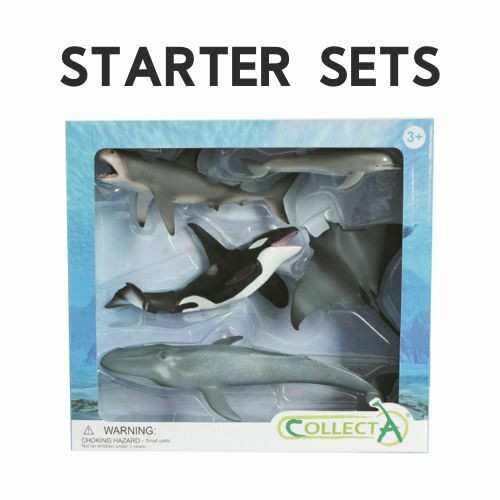 Starter Sets