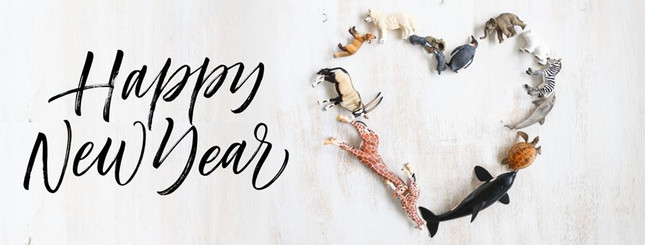Happy New Year! | MiniZoo Blog