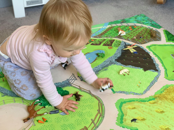 Le Toy Van Playmat | MiniZoo Blog