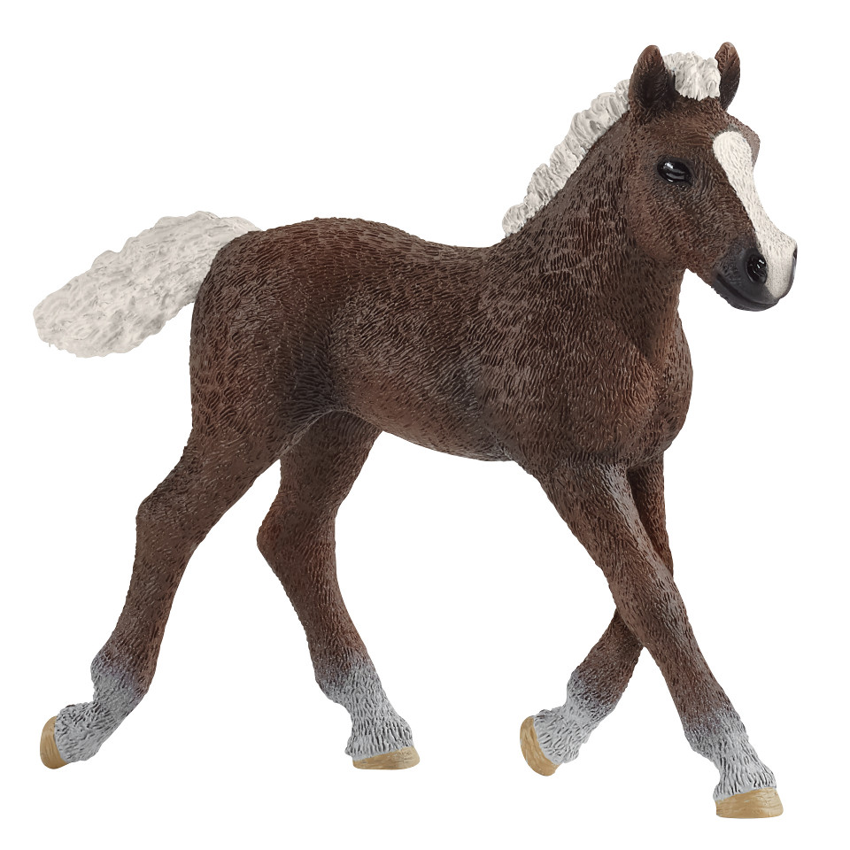 Schleich Black Forest Foal 13899