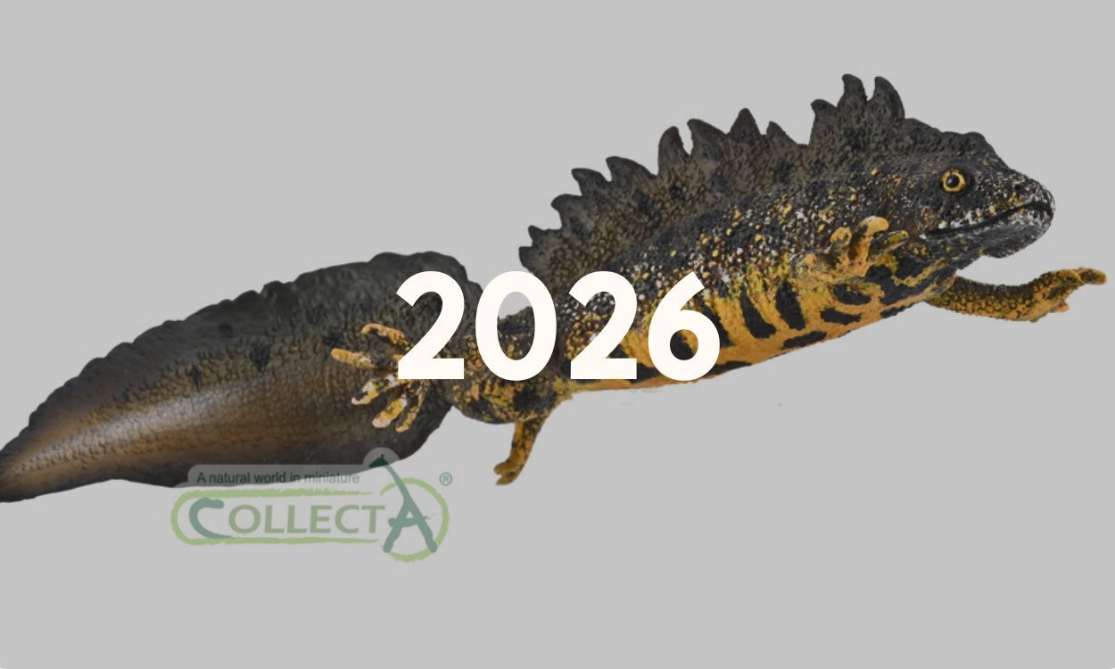 CollectA 2026