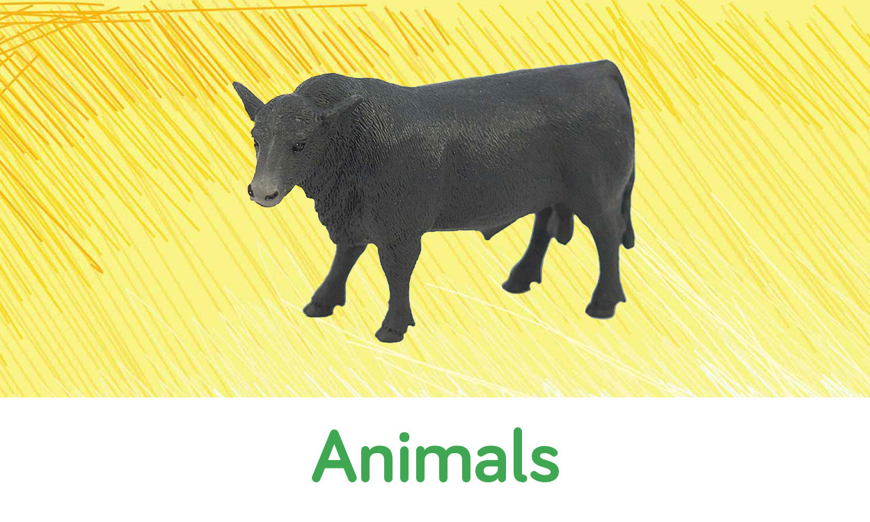 Animals