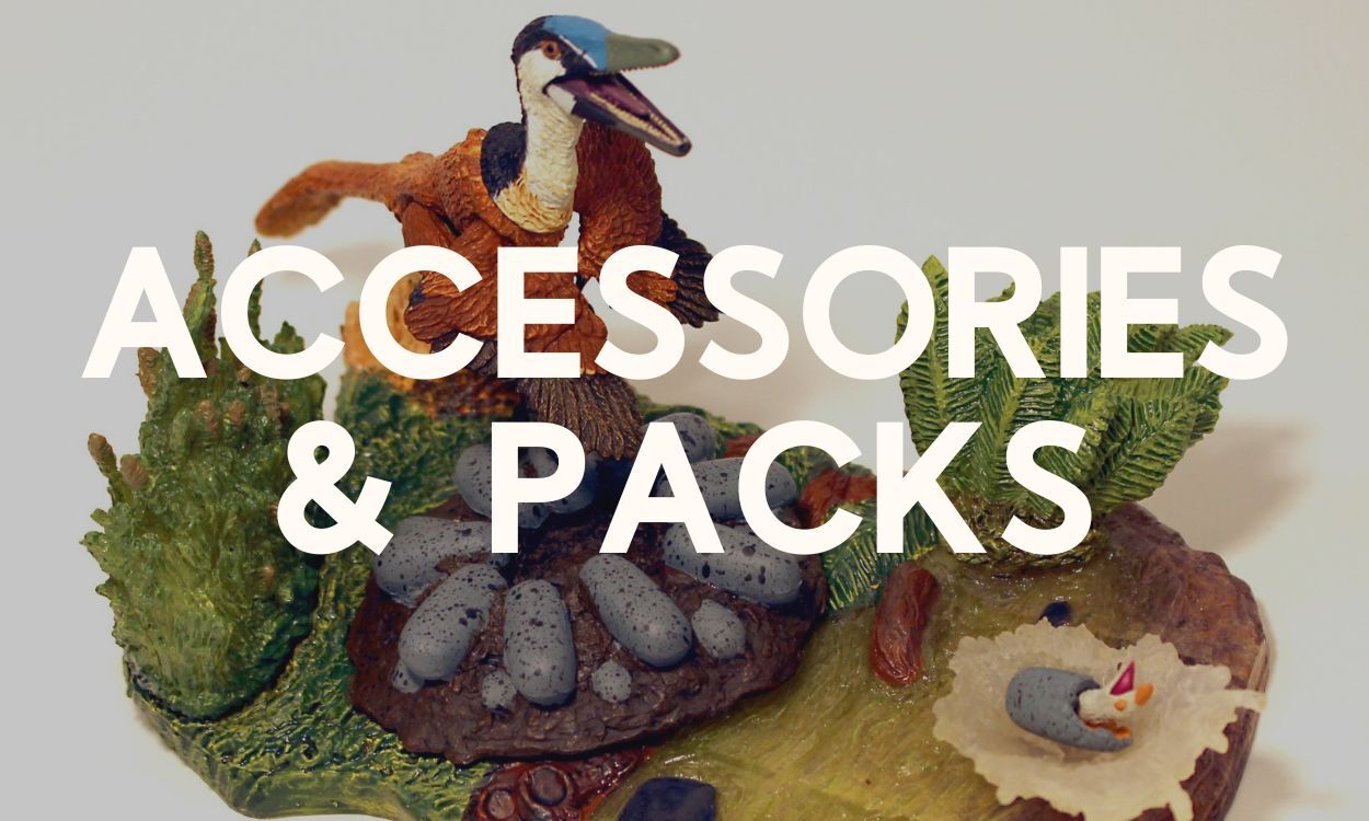 Accessories and Packs