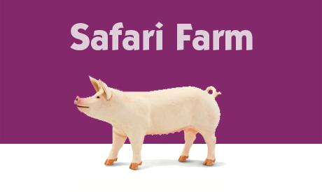 Safari Farm