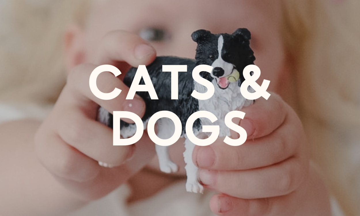 Cats & Dogs