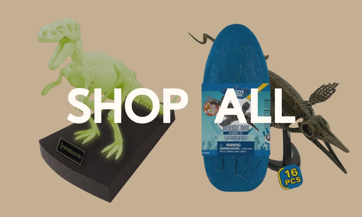 All Dr Steve Hunters