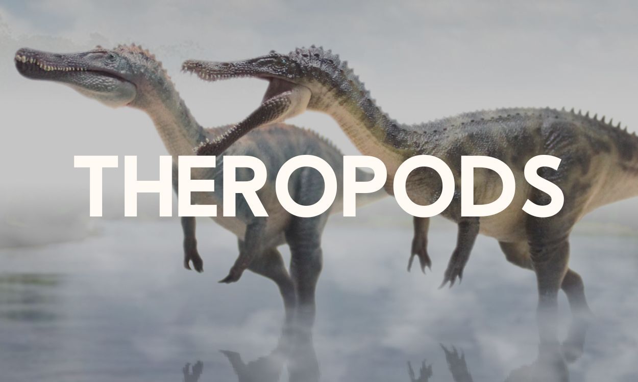 Theropods