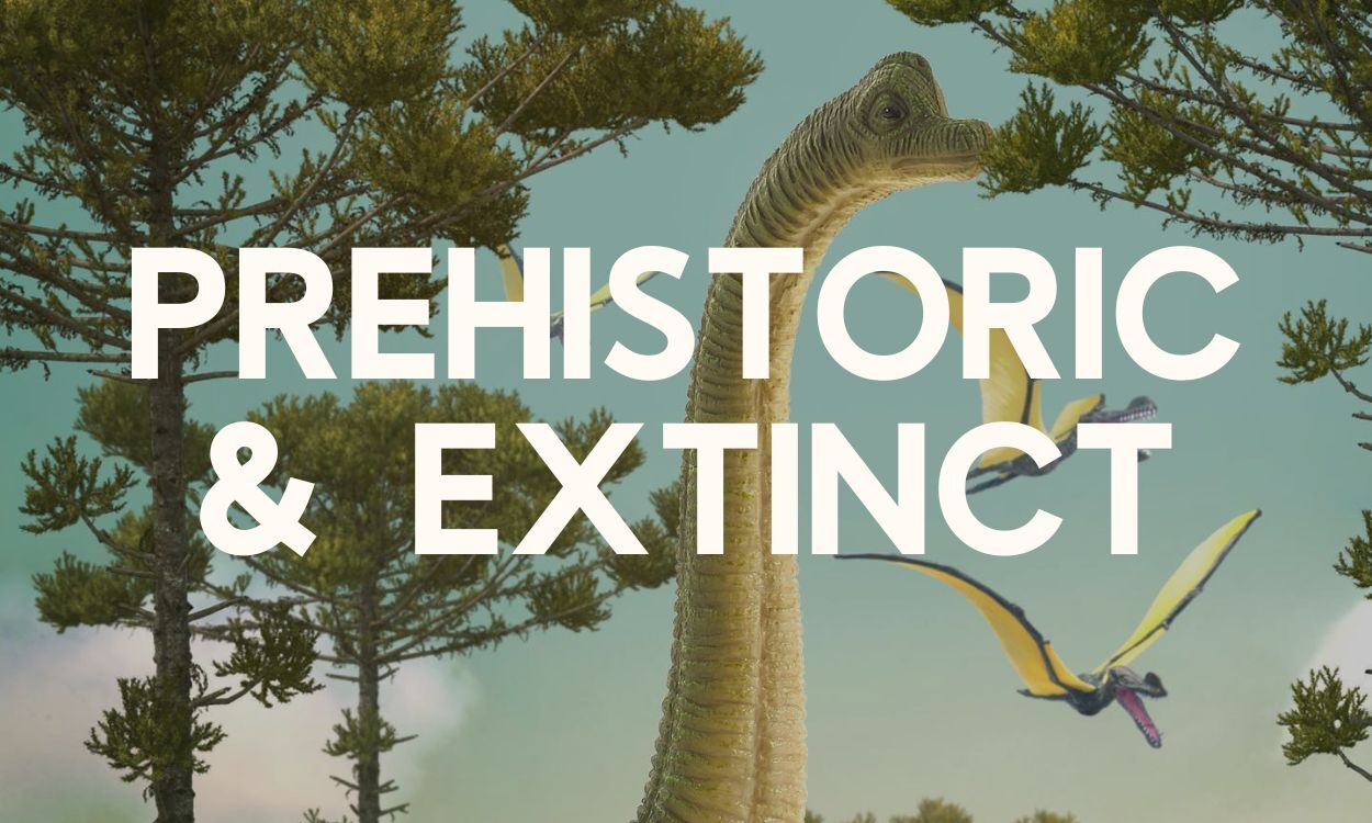 Prehistoric & Extinct