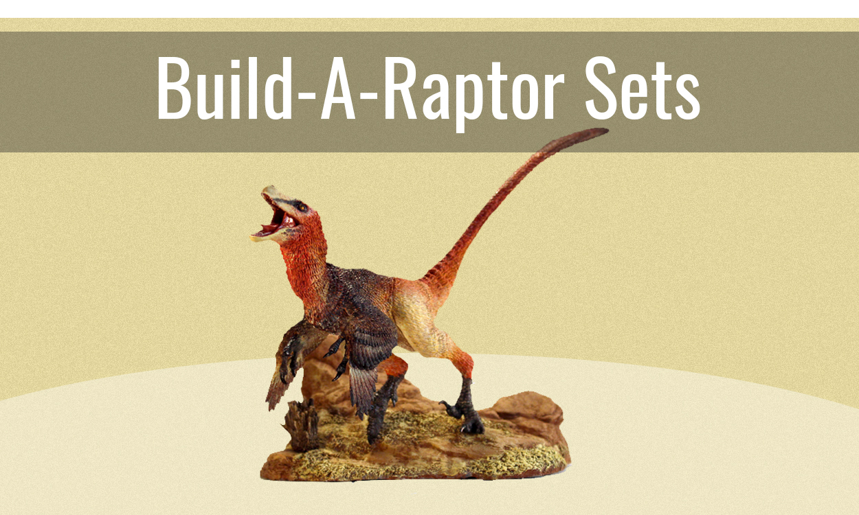 Build-a-Raptor Sets